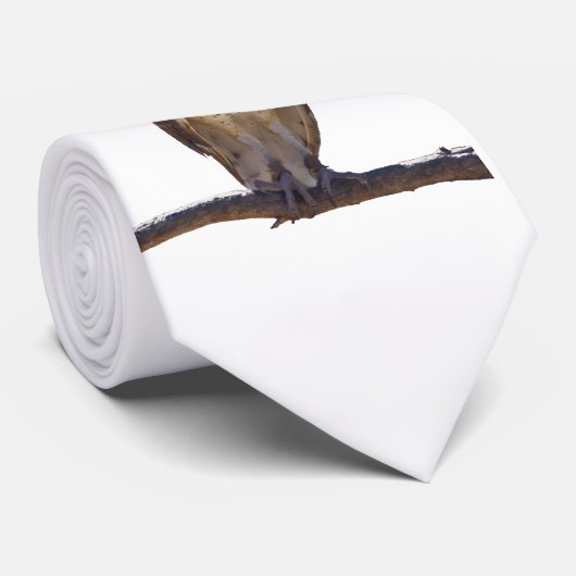 Schleiereule Krawatte (Gerollt)