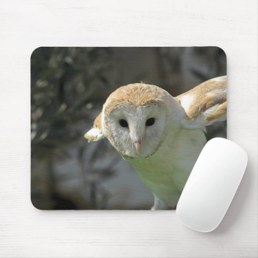 Schleiereule-Mausunterlage Mousepad (Mit Mouse)