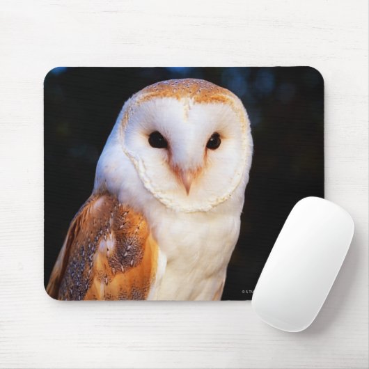 Schleiereule Mousepad (Mit Mouse)
