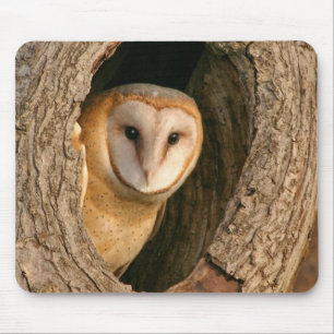 Schleiereule Mousepad