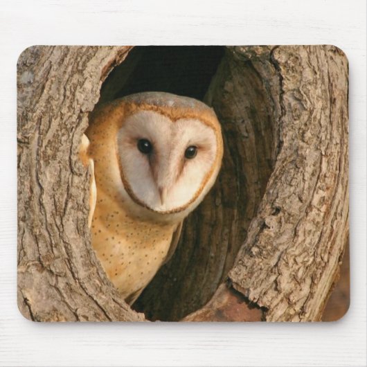 Schleiereule Mousepad (Vorne)