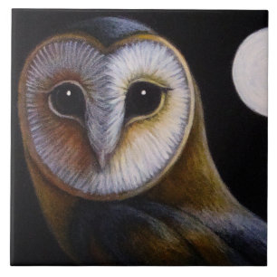 SCHLEIEREULE-NAHE HOHER U. VOLLMOND-FLIESE FLIESE