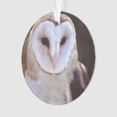 Schleiereule Ornament (Vorderseite)