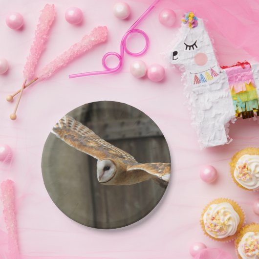 Schleiereule Pappteller (Party)