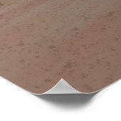 Schleiereule Poster (Ecke)