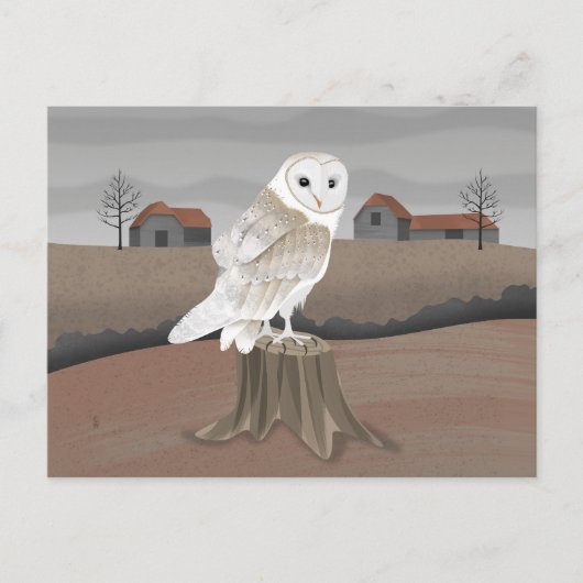 Schleiereule Postkarte (Vorderseite)