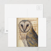 Schleiereule Postkarte (Vorne/Hinten)