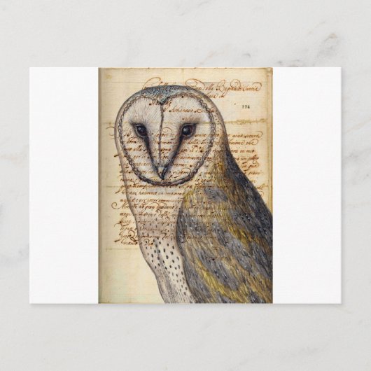 Schleiereule Postkarte (Vorderseite)