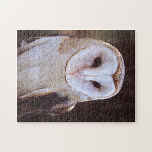 Schleiereule Puzzle (Horizontal)