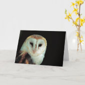 Schleiereule-Raum-innere jede Anlässe Karte (Gelbe Blume)