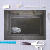 Schleiereule-Seidenpapier Seidenpapier (Handwerk)