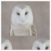 Schleiereule Stoff (Nahaufnahme)