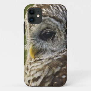 Schleiereule, Strix varia, Michigan Case-Mate iPhone Hülle