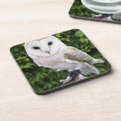 Schleiereule (Tyto alba) auf Handschuh Getränkeuntersetzer (Linke Seite)
