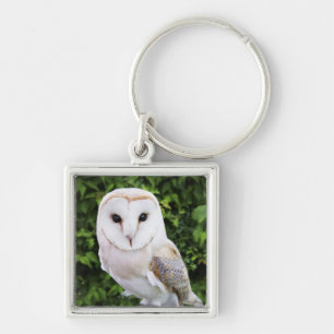 Schleiereule (Tyto alba) auf Handschuh Schlüsselanhänger