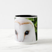 Schleiereule (Tyto alba) auf Handschuh Zweifarbige Tasse (Mittel)