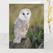 Schleiereule und Fingerhut Karte (Gelbe Blume)