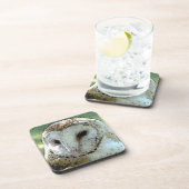 Schleiereule-Untersetzer-Set Untersetzer (Rechte Seite)