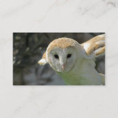 Schleiereule-Visitenkarte Visitenkarte (Rückseite)