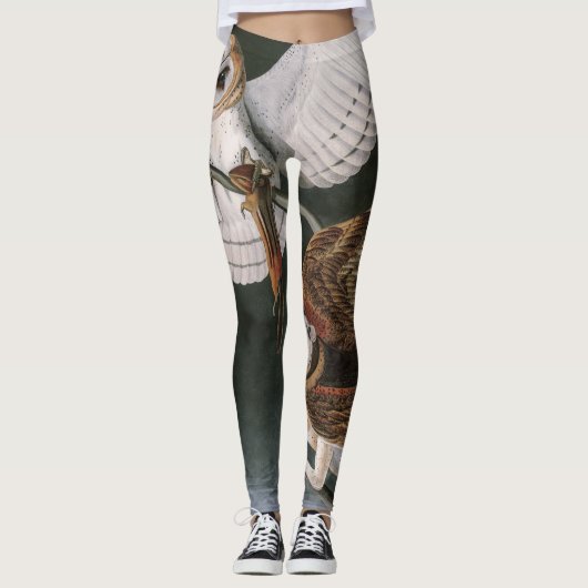 Schleiereulen, die Vögel von Amerika John James Leggings (Vorderseite)