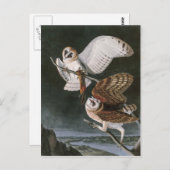 Schleiereulen, die Vögel von Amerika John James Postkarte (Vorne/Hinten)