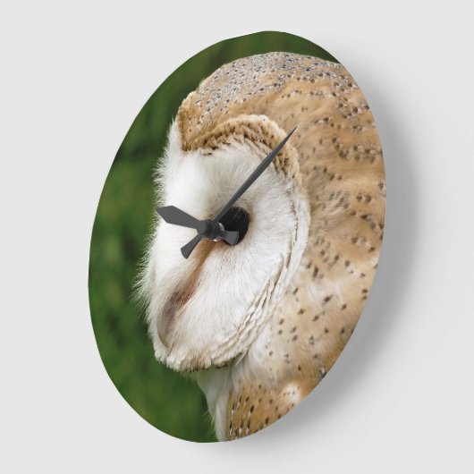 SCHLEIEREULEN GROßE WANDUHR (Winkel)