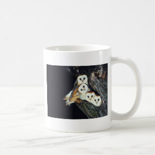 Schleiereulen in einem Baum Kaffeetasse