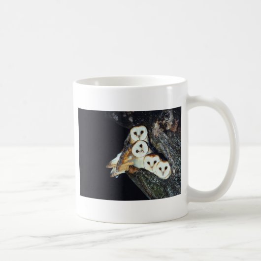 Schleiereulen in einem Baum Kaffeetasse (Rechts)