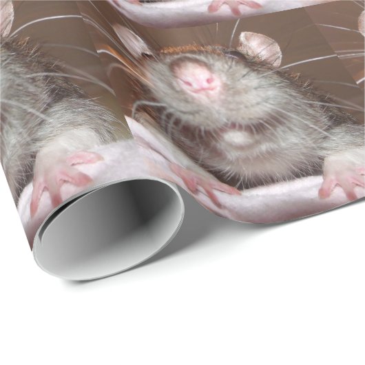 Schleifpapier Geschenkpapier (Rolleneckpunkt)