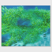 Schleifpapier Geschenkpapier (Flach)