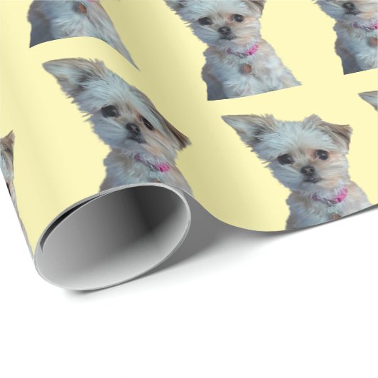 Schleifpapier Geschenkpapier (Rolleneckpunkt)