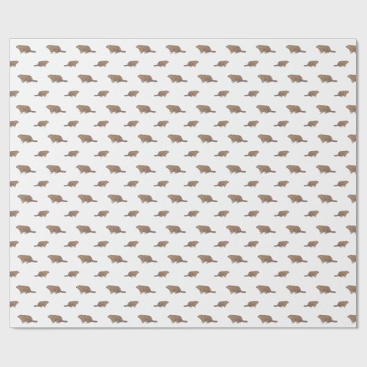 Schleifpapier Geschenkpapier (Flach)