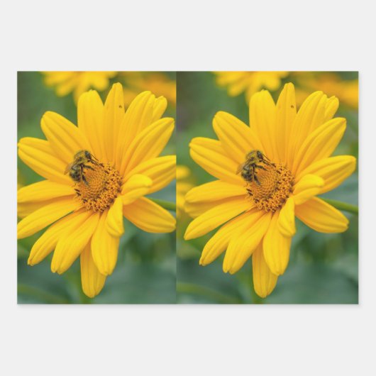 Schleifpapier Geschenkpapier Set (Vorderseite 3)