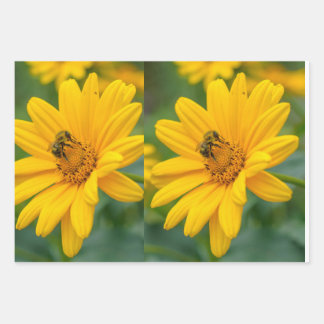 Schleifpapier Geschenkpapier Set