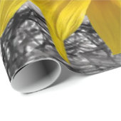 Schleifpapier Sonnenblume Geschenkpapier (Rolleneckpunkt)