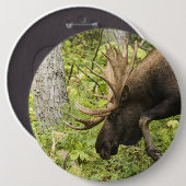 Schlendernder Elch Button (Vorne & Hinten)