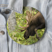 Schlendernder Elch Button (Beispiel)