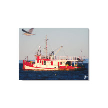 Schleppboot in der Mutiny Bay mit Vogel