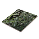 Schleppende Samt-Pflanzen-Fliese Fliese (Seite)