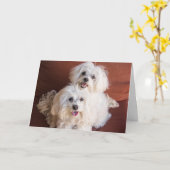 Schleppkarte Karte (Gelbe Blume)