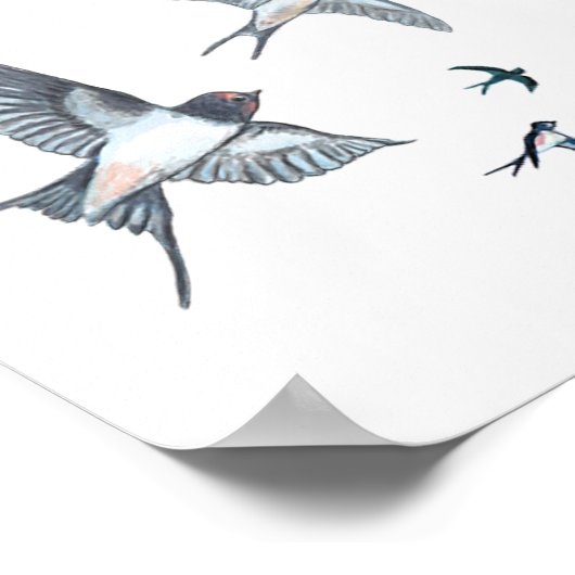 Schleppvögel Poster (Ecke)