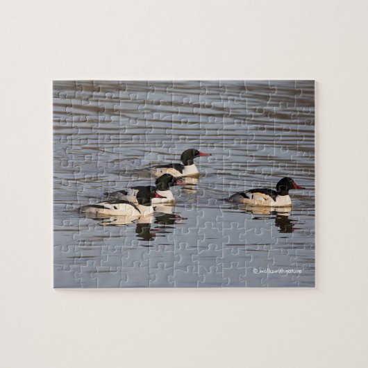 Schleuse der gemeinsamen Merganser-Enten am Slough Puzzle (Horizontal)