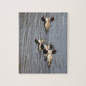 Schleuse der gemeinsamen Merganser-Enten am Slough Puzzle (Vertikal)