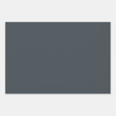 Schlicht Arsen Ash Battleship Gray Shades 3 Töne Geschenkpapier Set (Vorderseite)