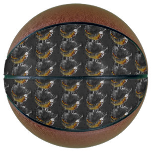schlicht basketball