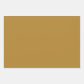 Schlicht Chicory Chamomile Chai Brown Shades 3 Ton Geschenkpapier Set (Vorderseite 2)