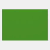 Schlicht Dartmouth La Salle Green Shades 3 Tones Geschenkpapier Set (Vorderseite 3)