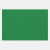 Schlicht Dartmouth La Salle Green Shades 3 Tones Geschenkpapier Set (Vorderseite 2)