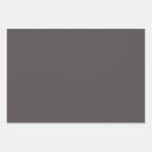 Schlicht Gänse Grüner Wolf Gray Shades 3 Tones Geschenkpapier Set (Vorderseite 3)