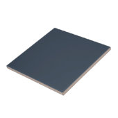 Schlicht-graue blaue Solid-Farbtafel Fliese (Seite)